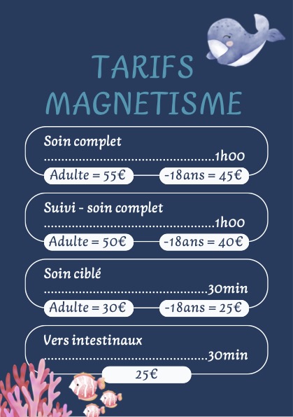 Tarifs des soins en magnétisme avec informations sur les prix pour les adultes et les moins de 18 ans, présentés sur un fond coloré avec des illustrations marines.
